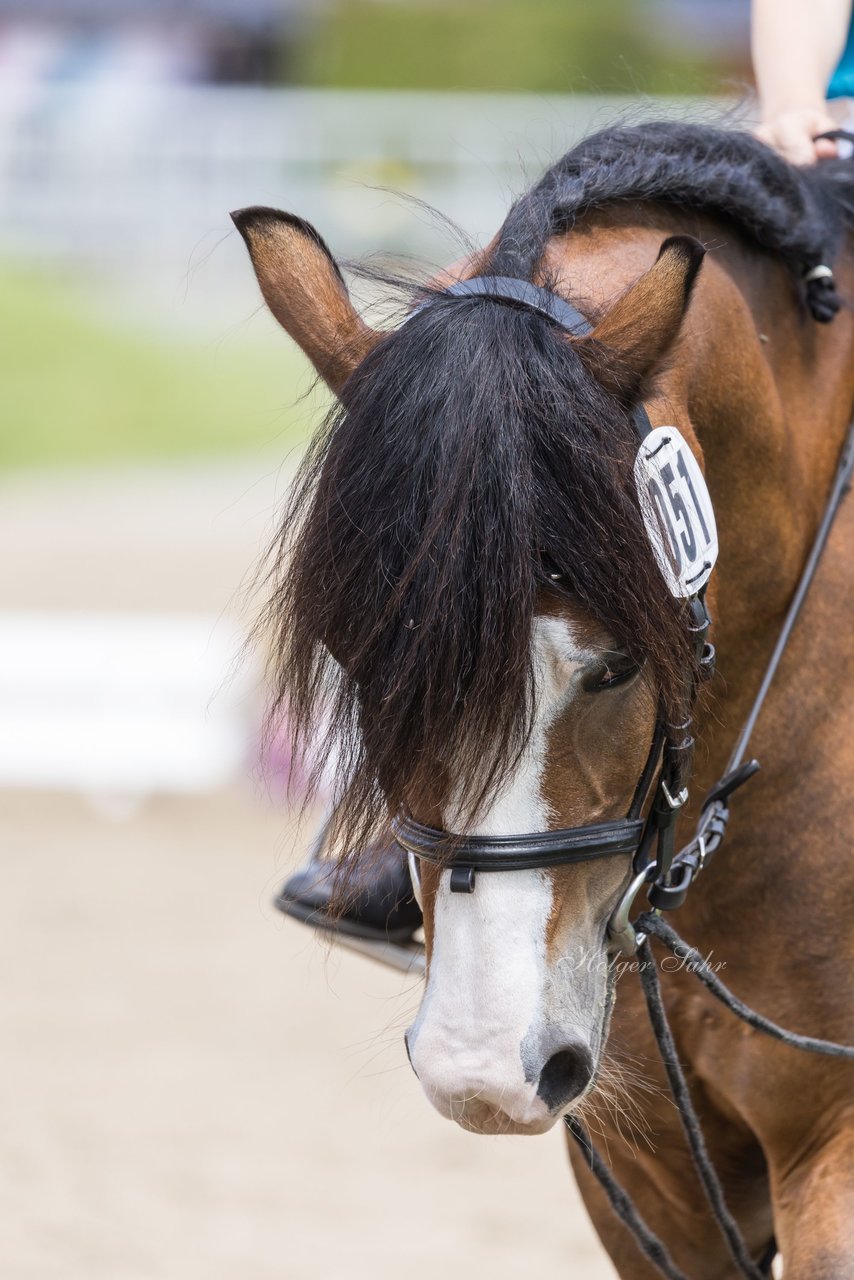 Bild 153 - Pony Akademie Turnier